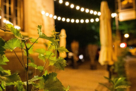 Amsel und Meise Restaurant-Gutschein